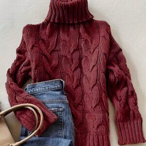 Burgundy Casual Women's Comfortable Twisted Rope print Textured highneck sweater